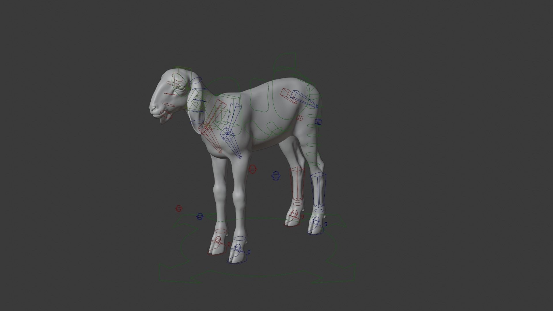 Young Assaf Sheep With 1 Animation  VFX Grace 3D model_10