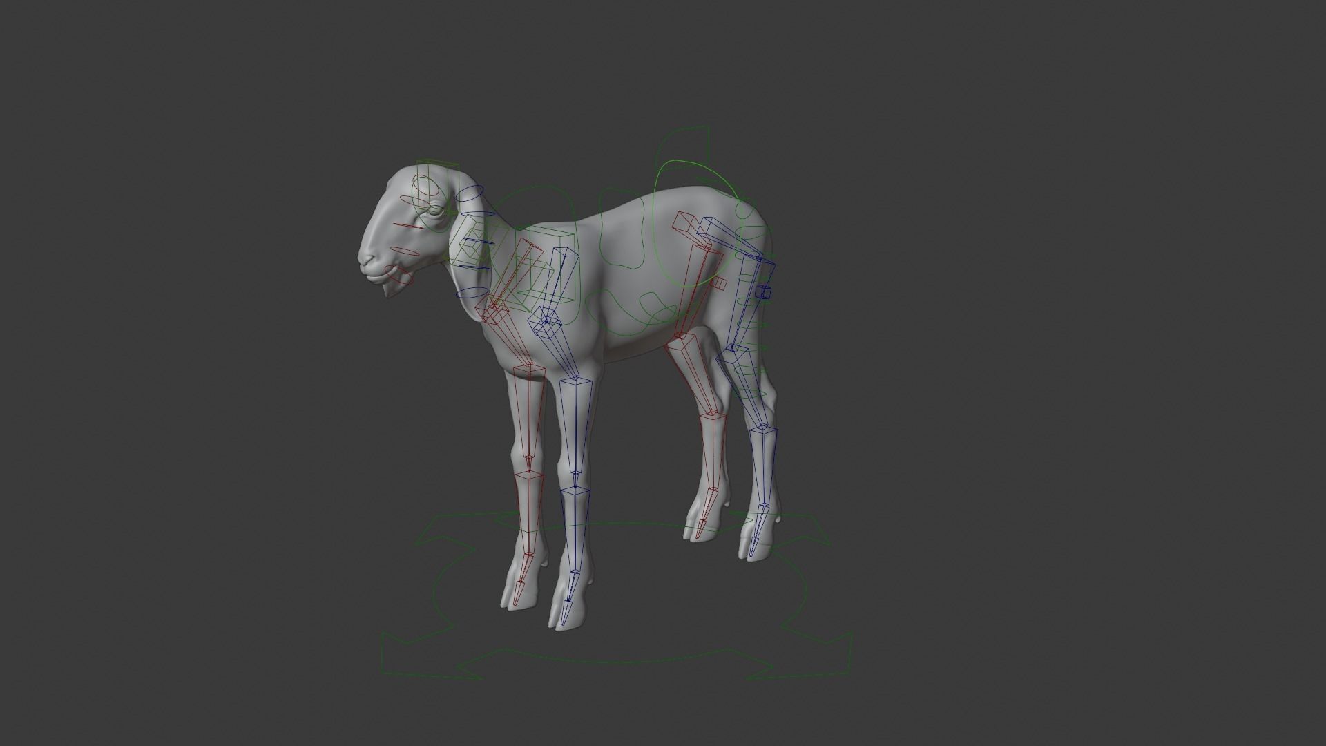 Young Assaf Sheep With 1 Animation  VFX Grace 3D model_11
