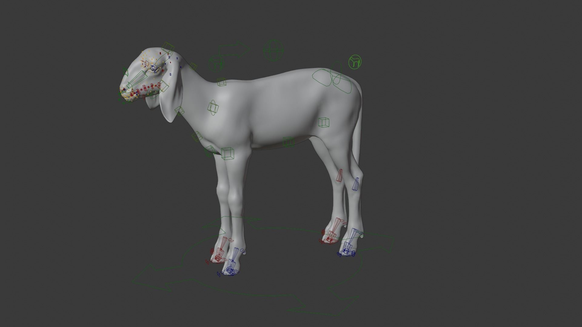 Young Assaf Sheep With 1 Animation  VFX Grace 3D model_12
