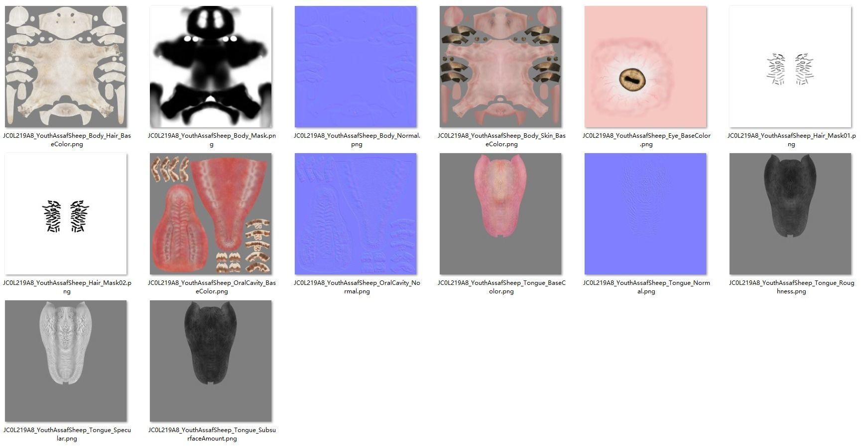 Young Assaf Sheep With 1 Animation  VFX Grace 3D model_16