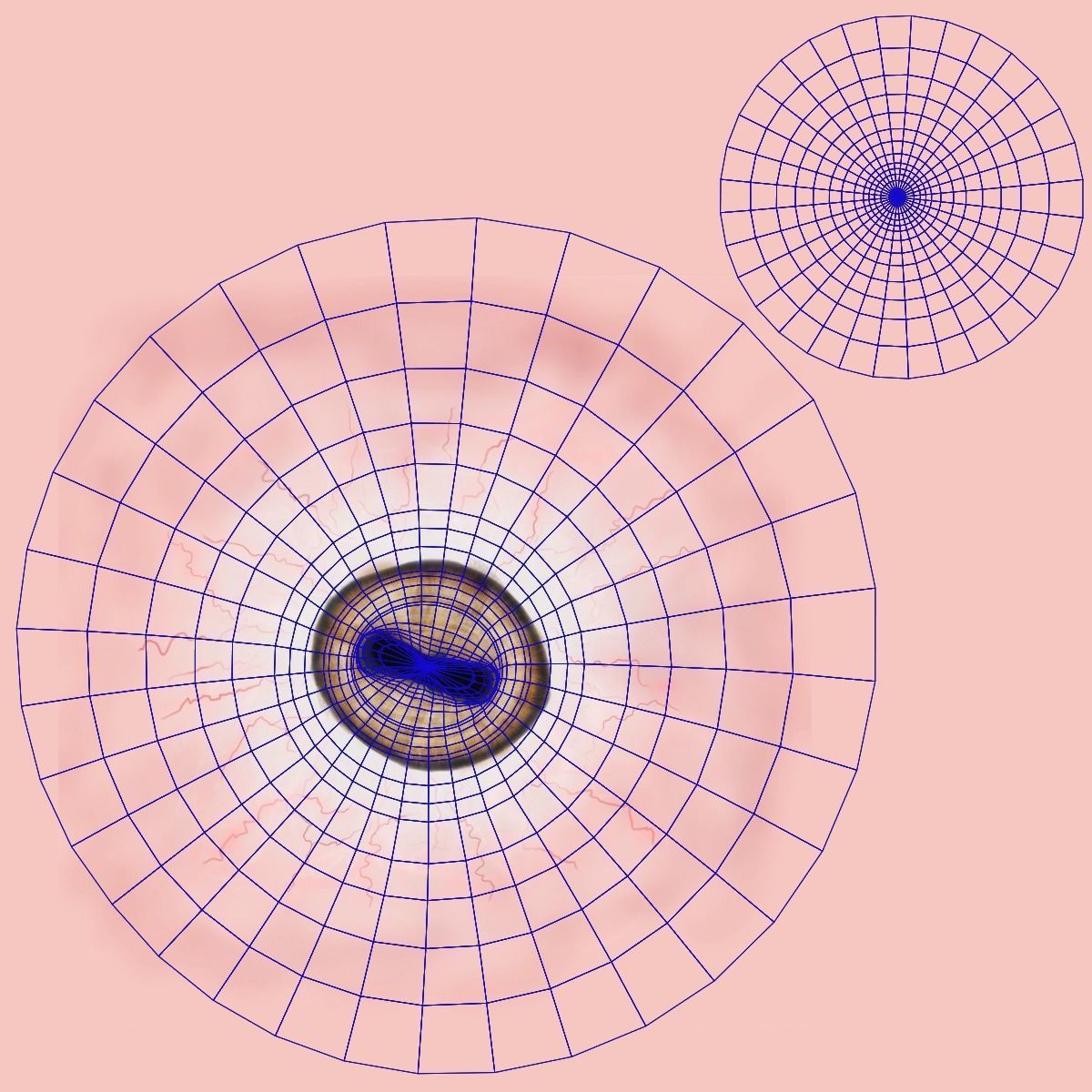 Young Assaf Sheep With 1 Animation  VFX Grace 3D model_19