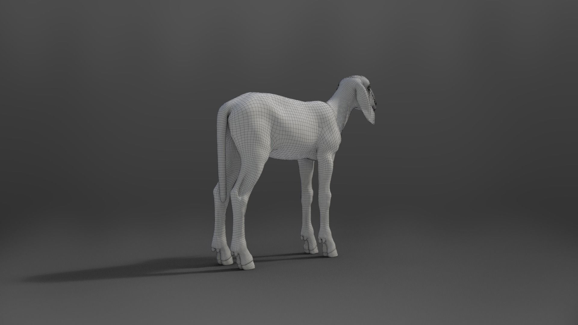 Young Assaf Sheep With 5 Animations VFX Grace 3D model_26