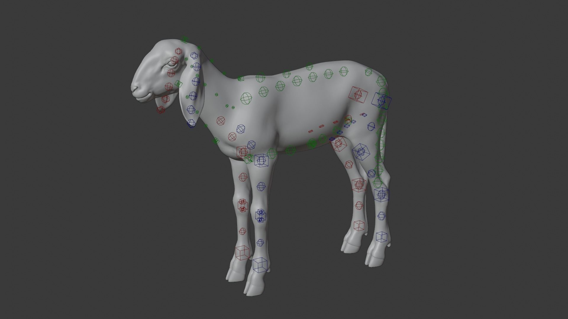 Young Assaf Sheep With 5 Animations VFX Grace 3D model_23