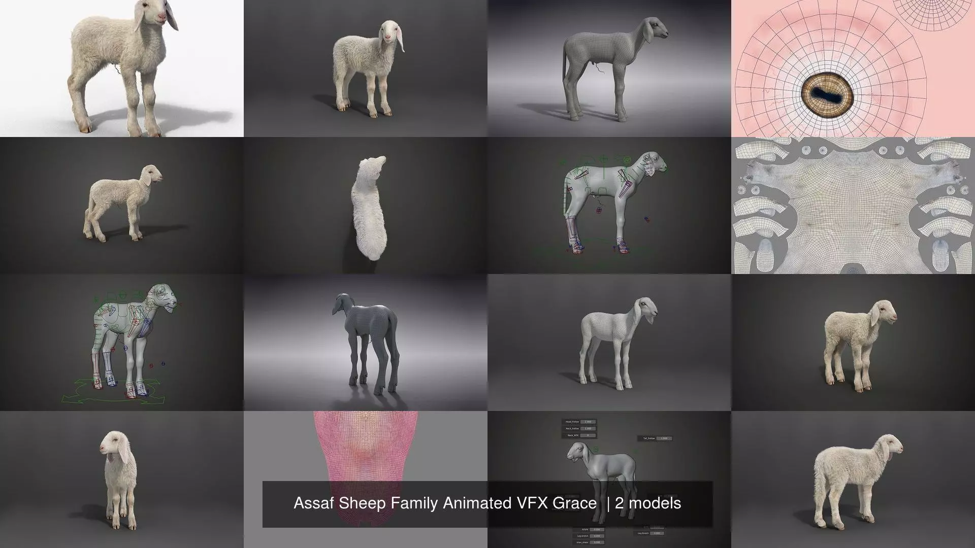 Assaf Sheep Family Animated VFX Grace  3D Model Collection_1