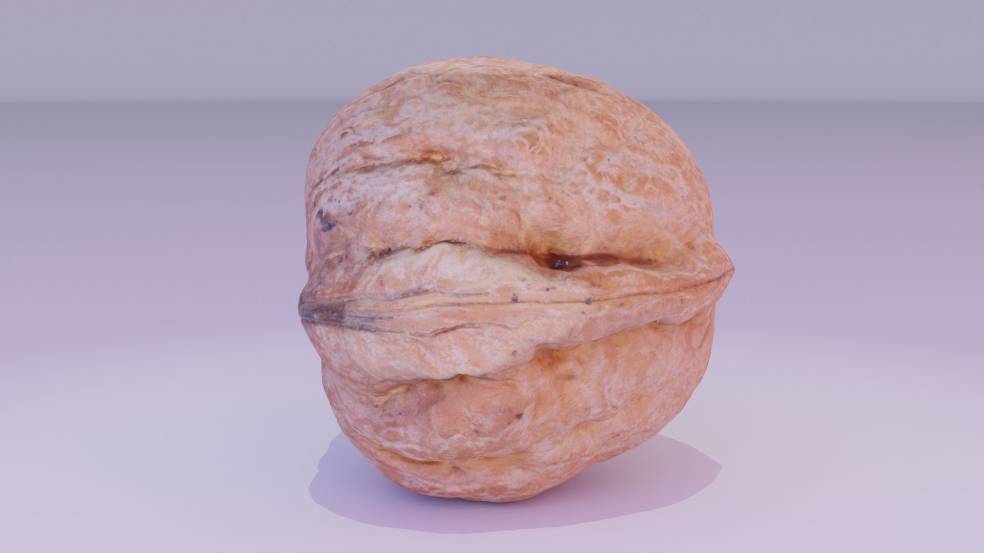 Walnut fruit 04 high-poly 3D model_11
