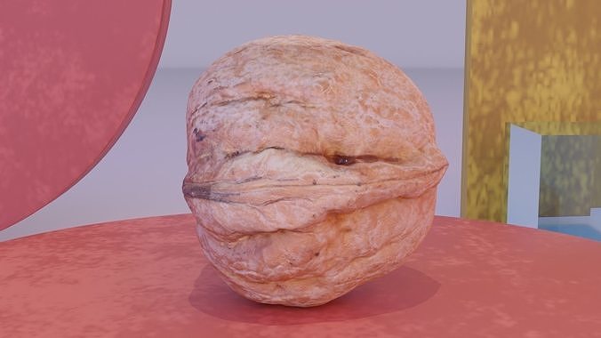 Walnut fruit 04 high-poly 3D model 2