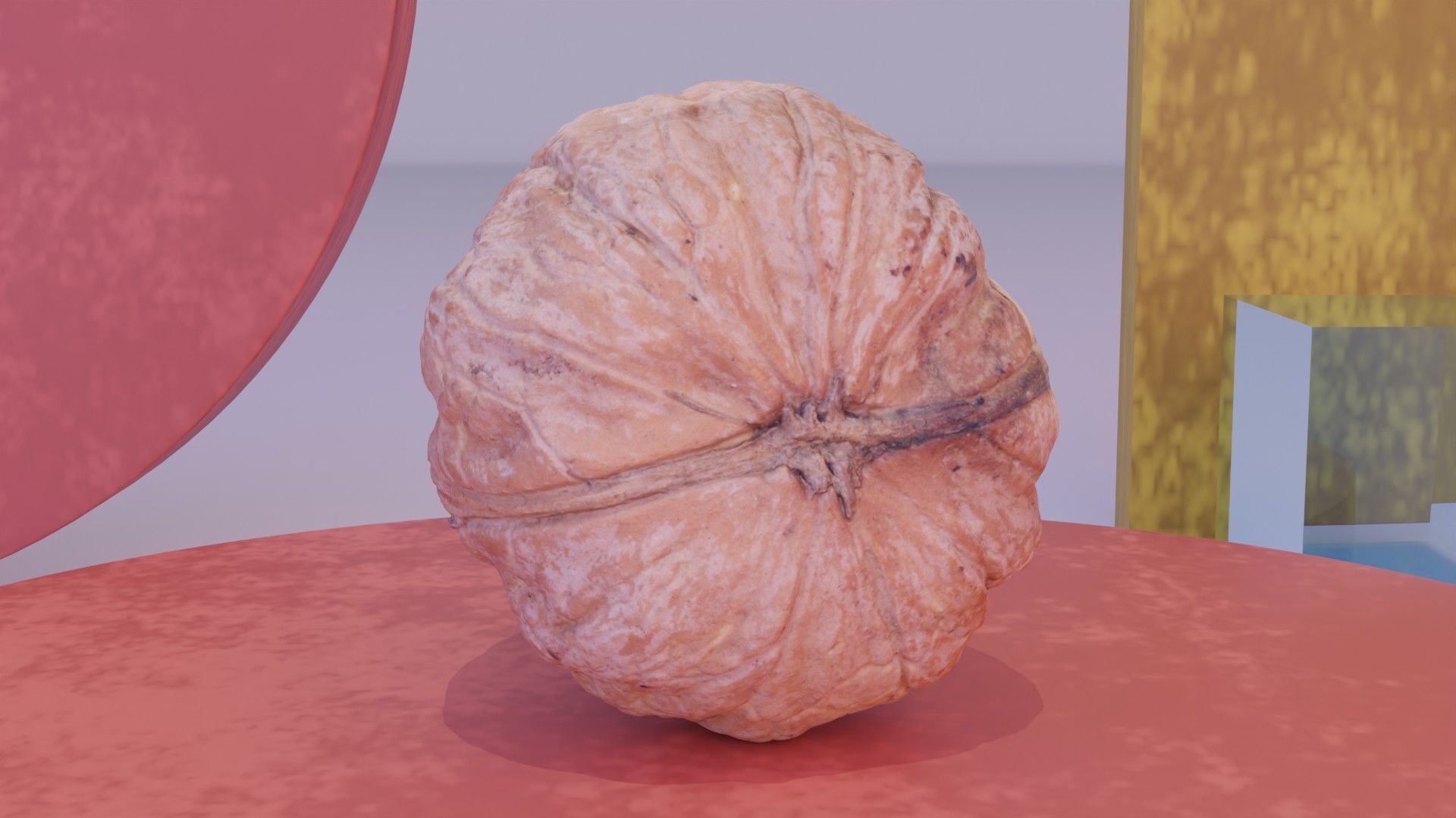 Walnut fruit 04 high-poly 3D model_4