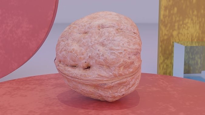 Walnut fruit 04 high-poly 3D model 7
