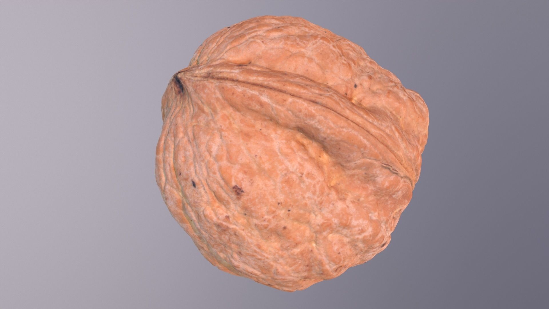 Walnut fruit 04 high-poly 3D model_20
