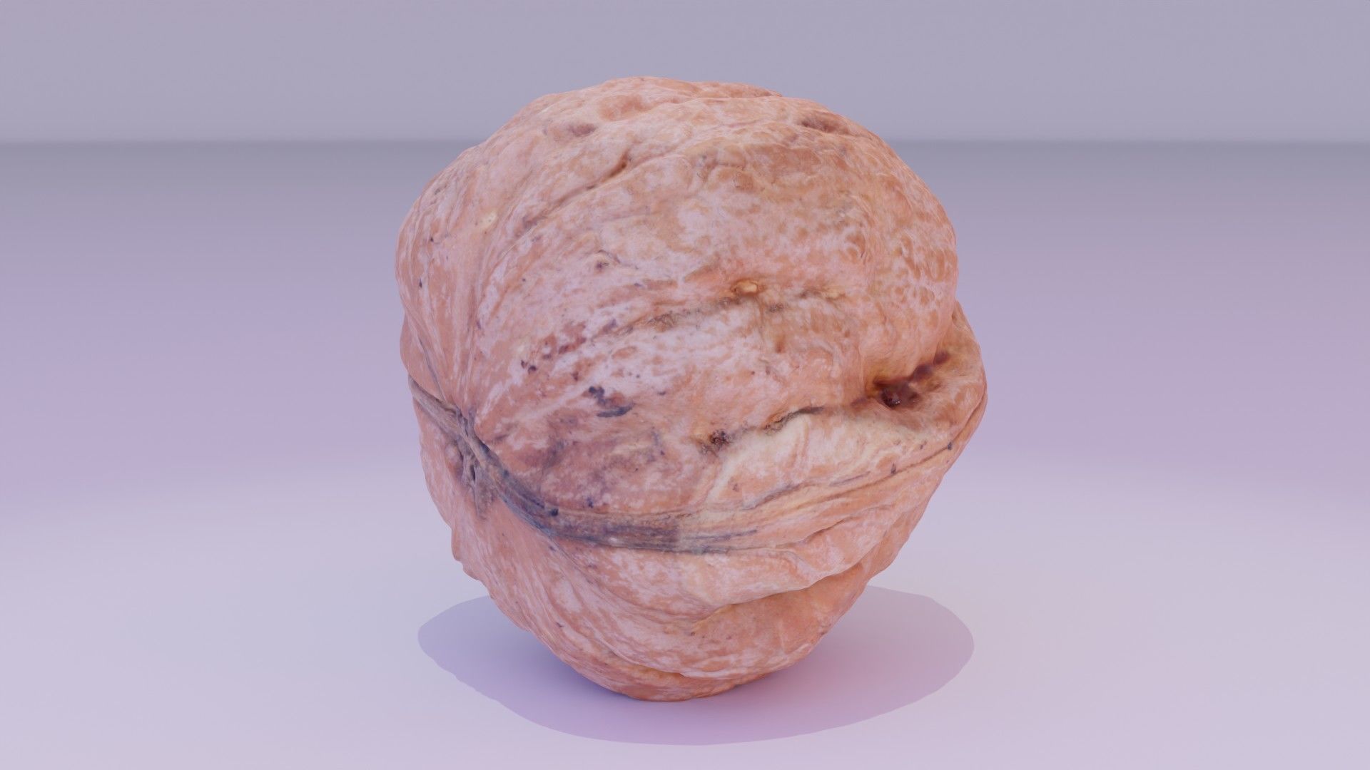 Walnut fruit 04 high-poly 3D model_16
