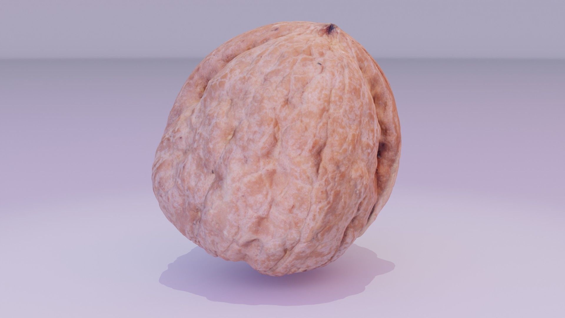 Walnut fruit 04 high-poly 3D model_19