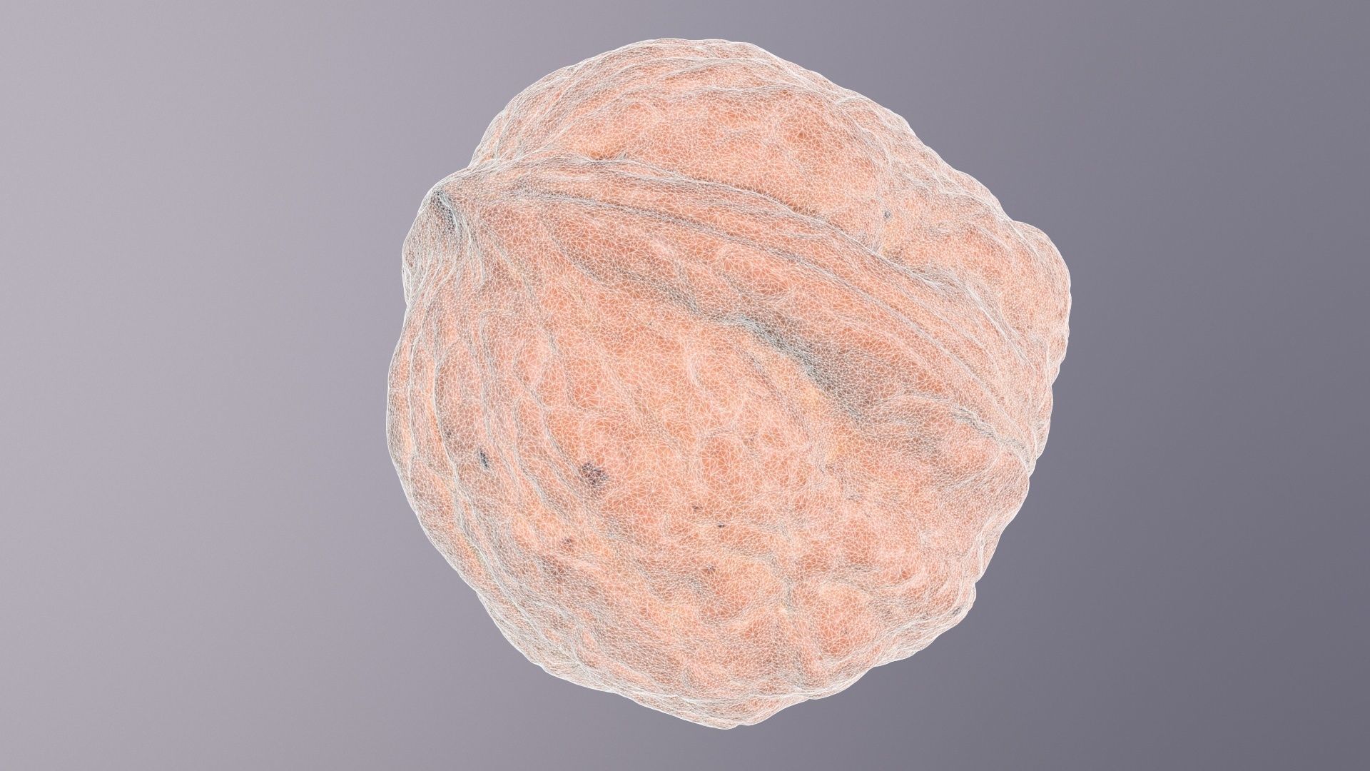 Walnut fruit 04 high-poly 3D model_21