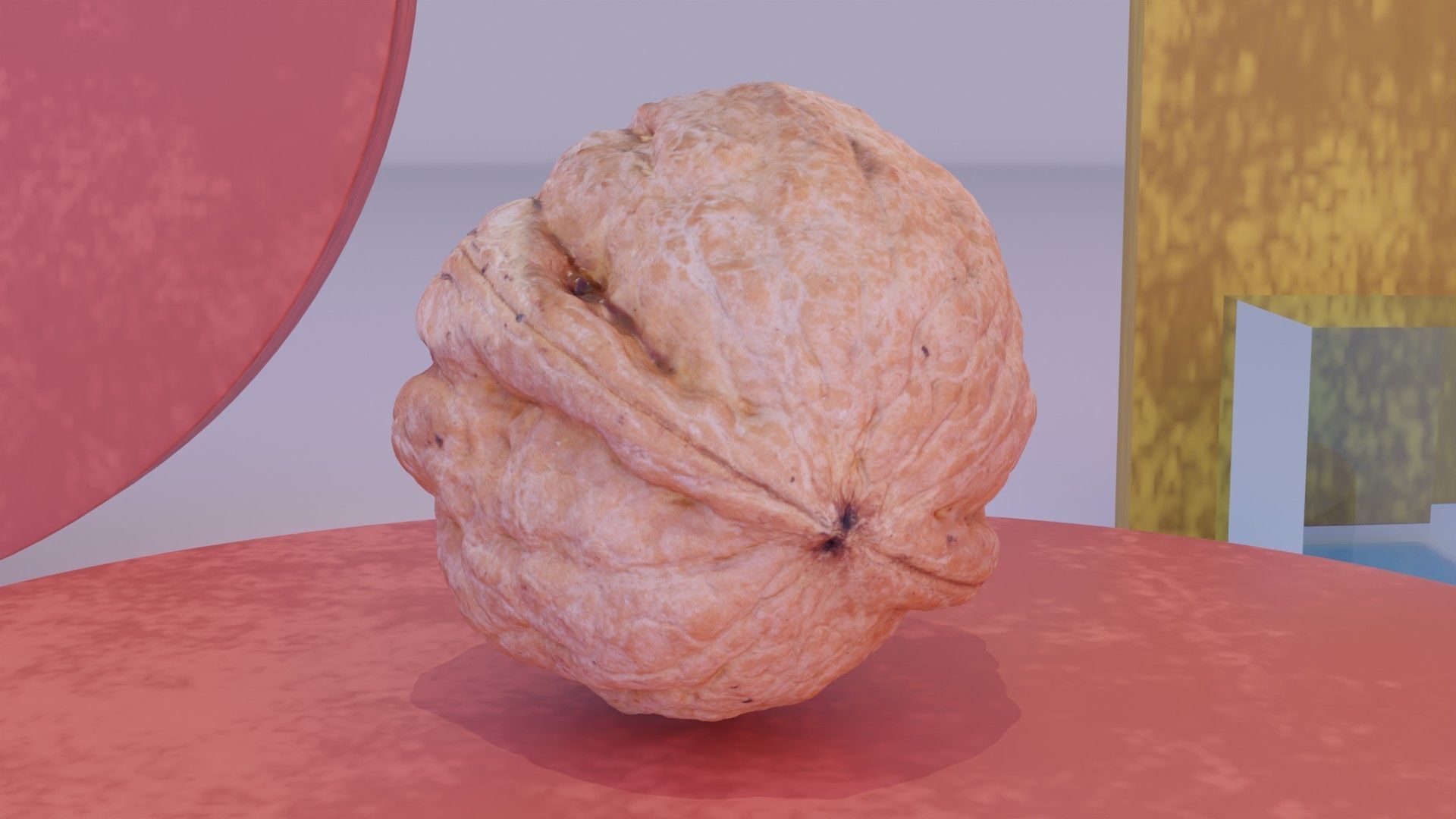 Walnut fruit 04 high-poly 3D model_9