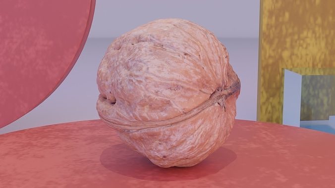 Walnut fruit 04 high-poly 3D model 6