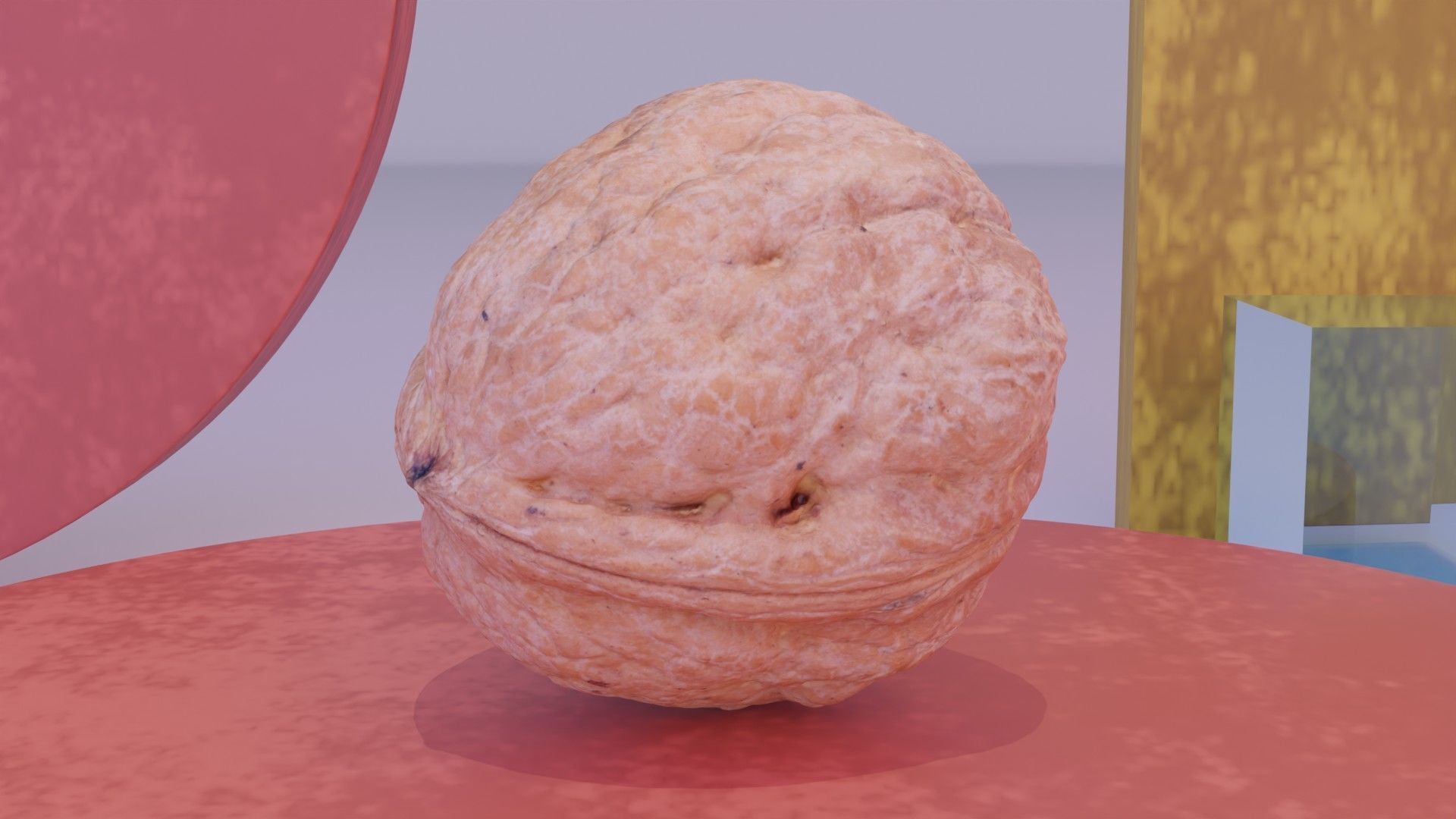 Walnut fruit 04 high-poly 3D model_7