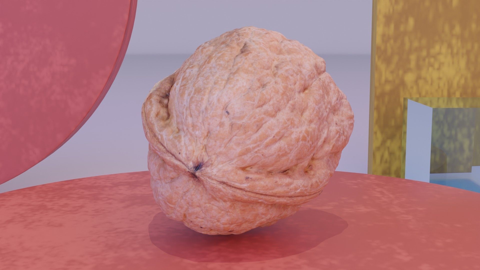 Walnut fruit 04 high-poly 3D model_8