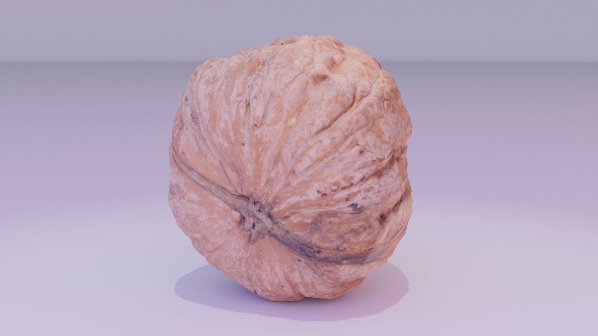 Walnut fruit 04 high-poly 3D model_13