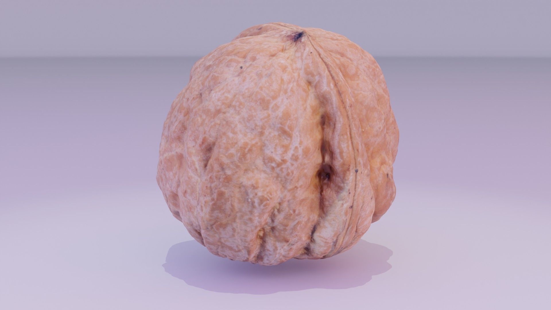 Walnut fruit 04 high-poly 3D model_17