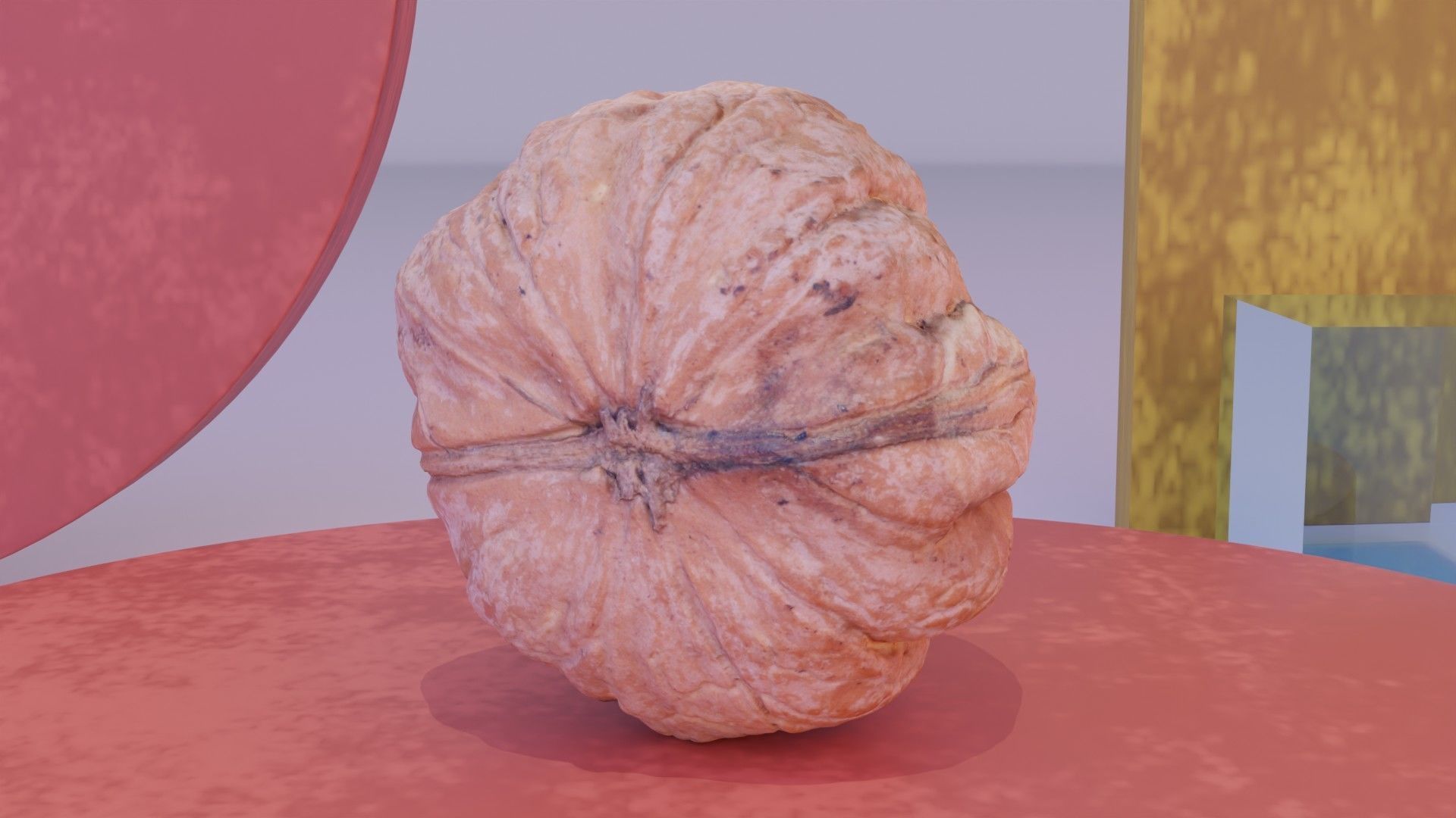 Walnut fruit 04 high-poly 3D model_3