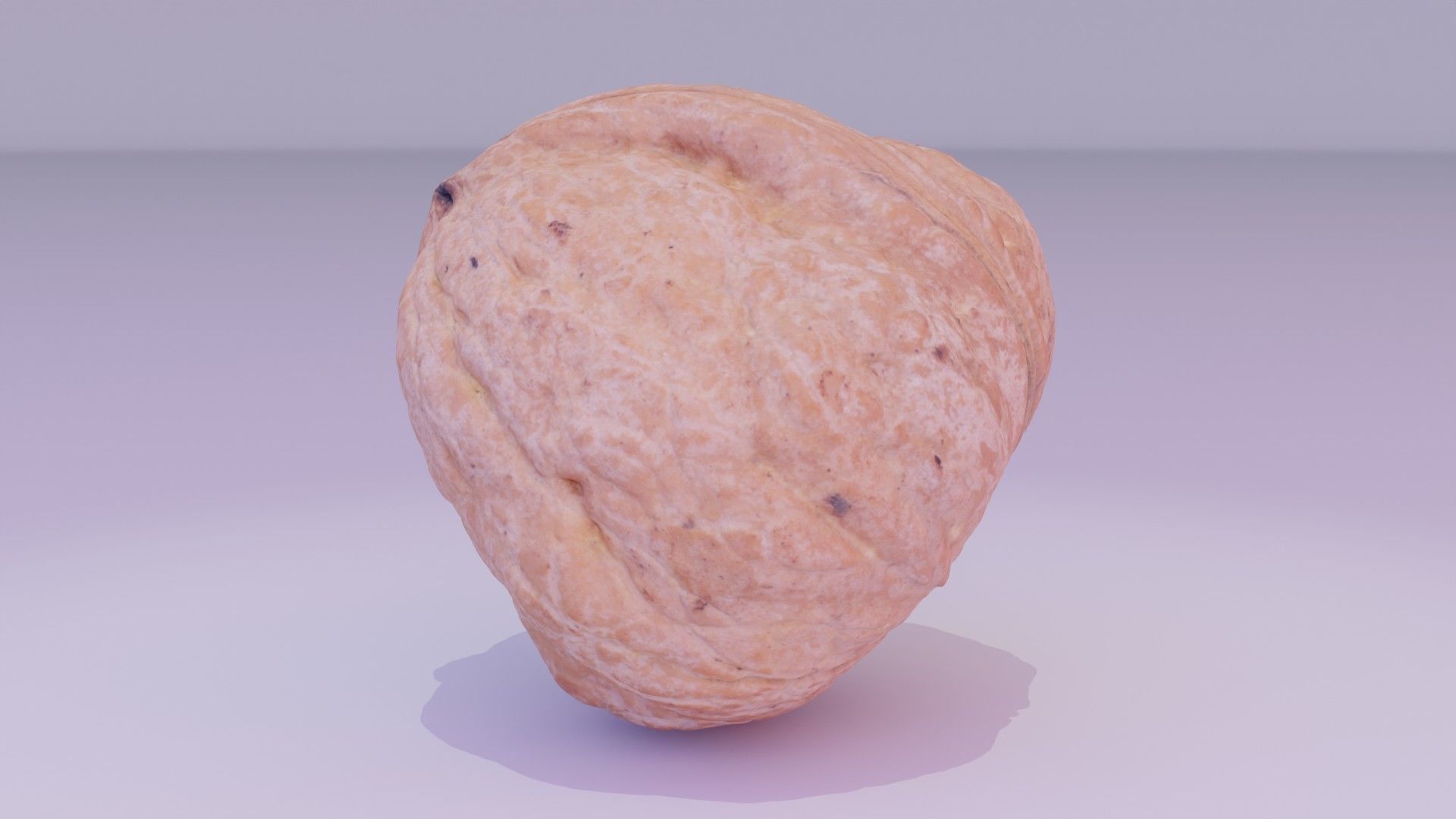 Walnut fruit 04 high-poly 3D model_14