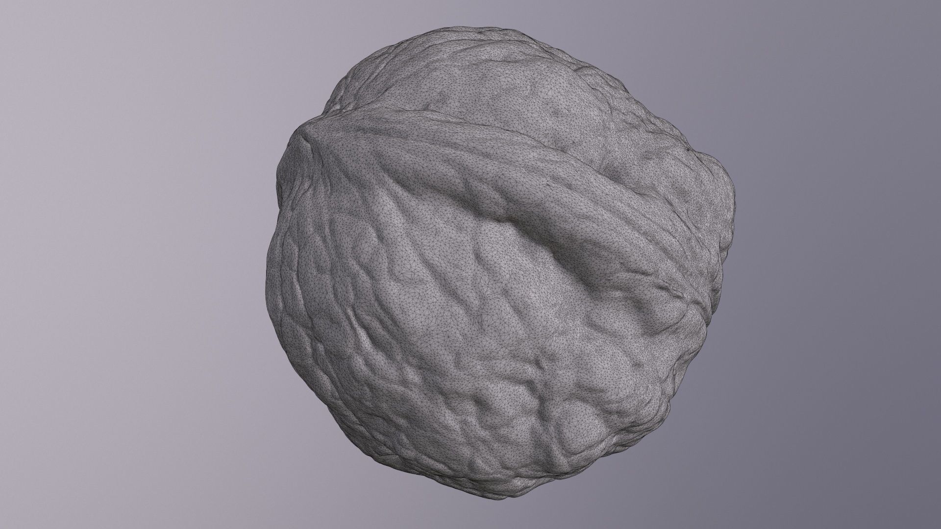 Walnut fruit 04 high-poly 3D model_22