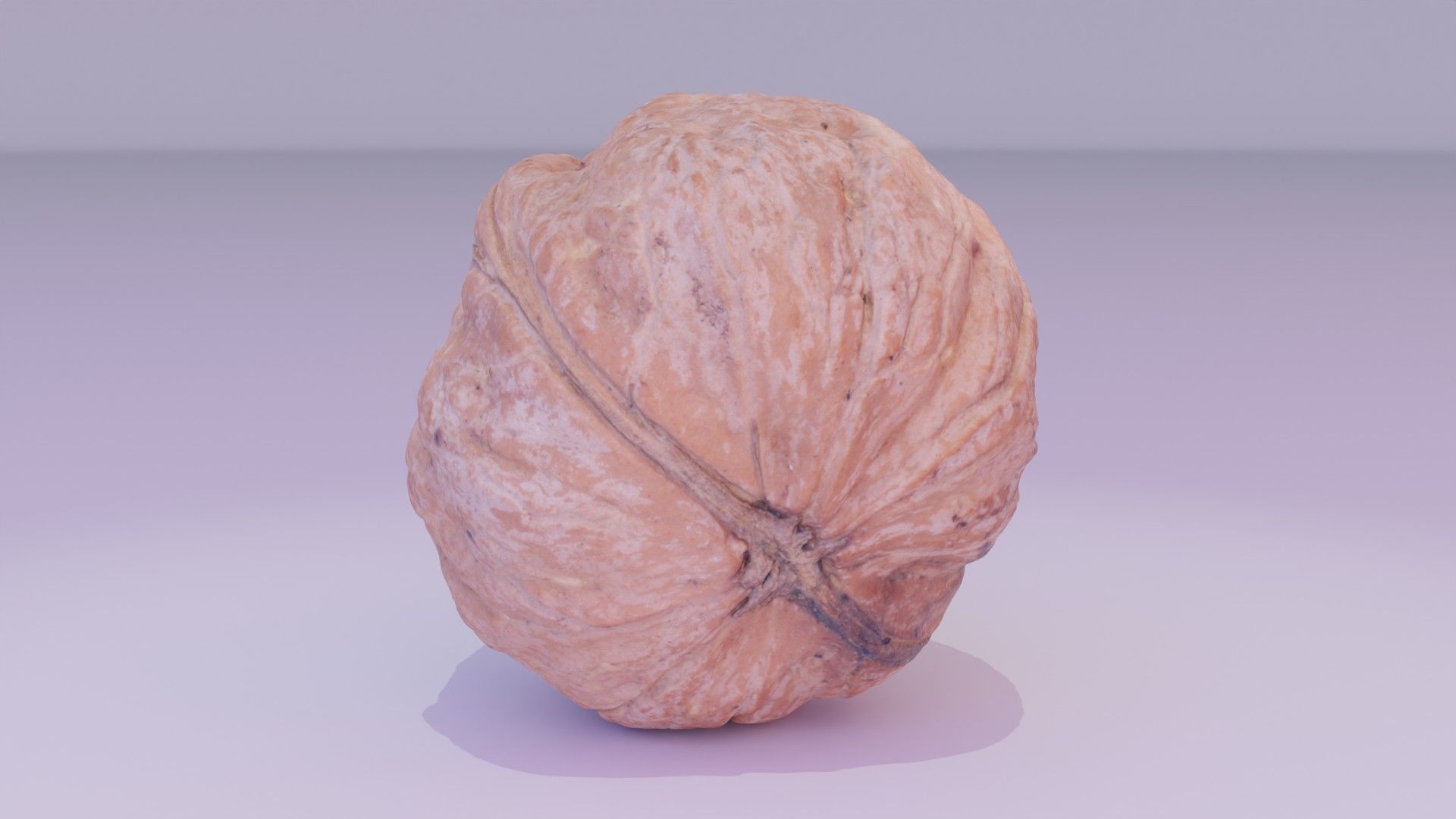 Walnut fruit 04 high-poly 3D model_12