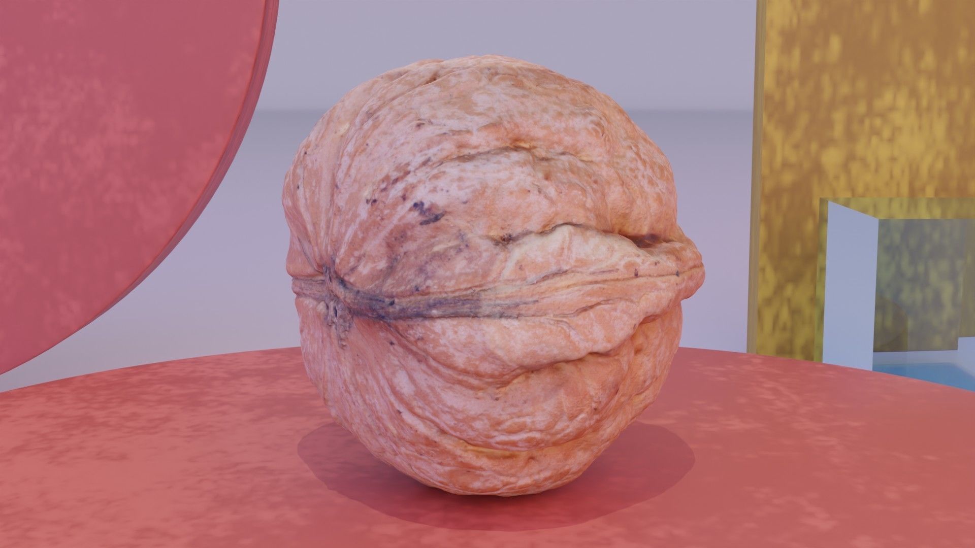 Walnut fruit 04 high-poly 3D model_2