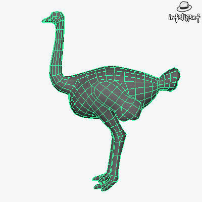 Low Poly Ostrich Low-poly 3D model_4