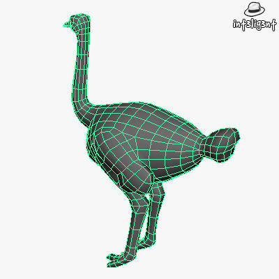 Low Poly Ostrich Low-poly 3D model_5