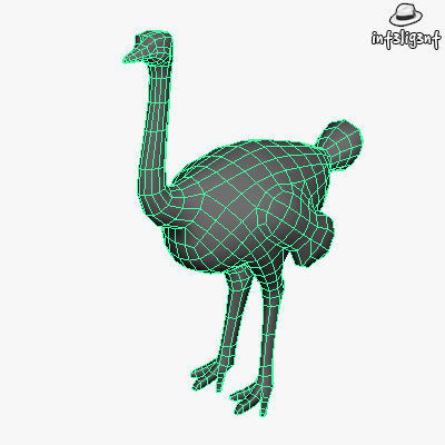 Low Poly Ostrich Low-poly 3D model_3