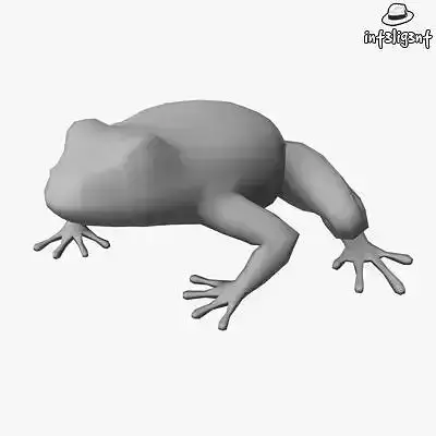 Low Poly Frog