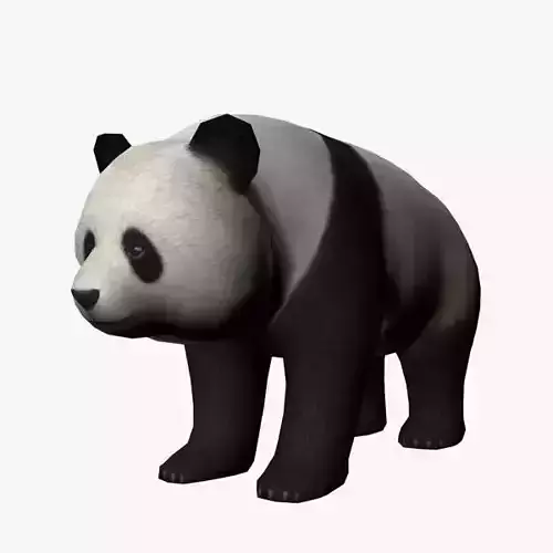 Panda bear