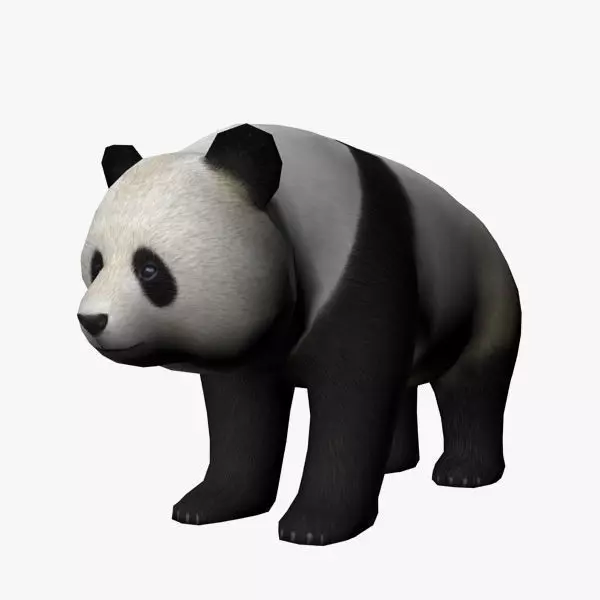 Panda bear Low-poly 3D model_0