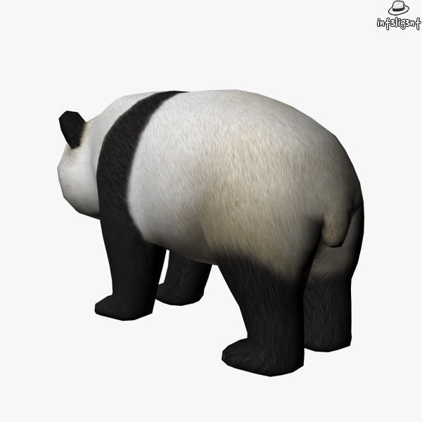 Panda bear Low-poly 3D model_3