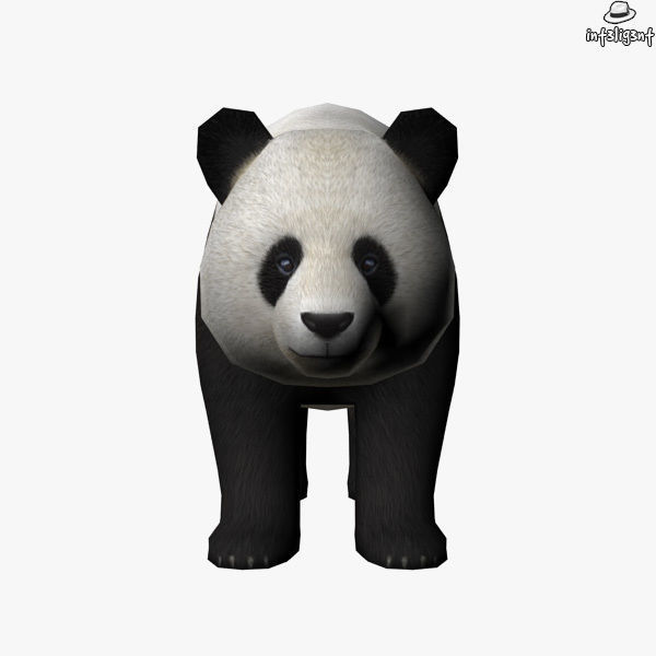 Panda bear Low-poly 3D model_1