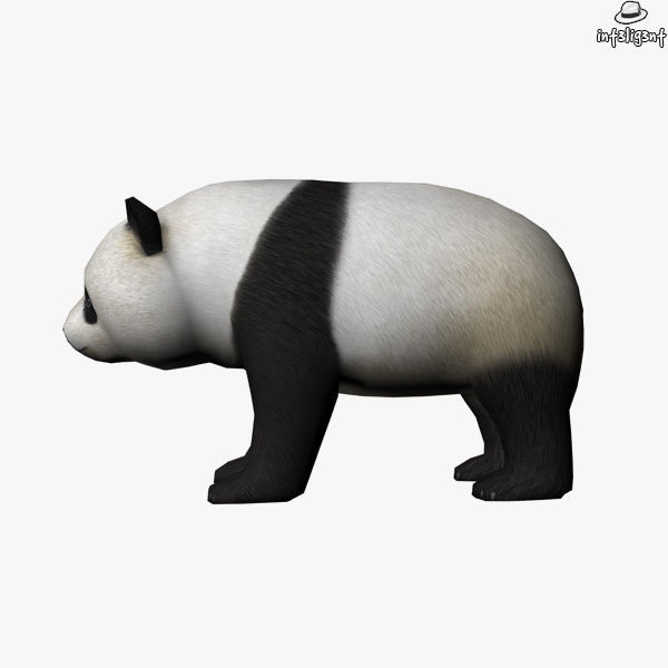 Panda bear Low-poly 3D model_2