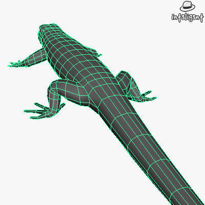 Low Poly Lizard Low-poly 3D model_5