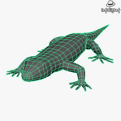 Low Poly Lizard Low-poly 3D model_3