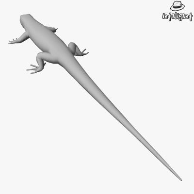 Low Poly Lizard Low-poly 3D model_2
