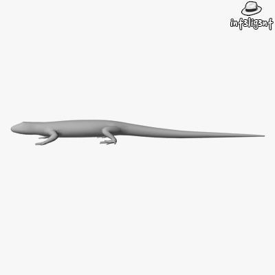 Low Poly Lizard Low-poly 3D model_1