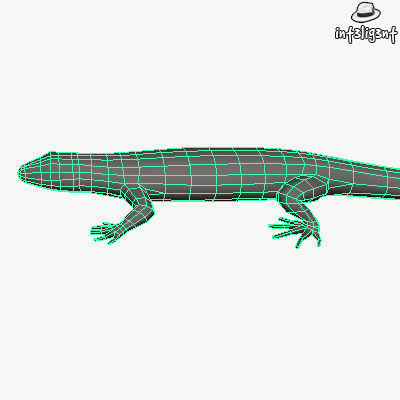 Low Poly Lizard Low-poly 3D model_4