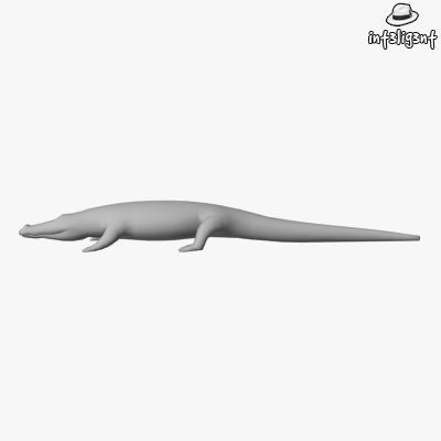 Low Poly Crocodile alligator Low-poly 3D model_1