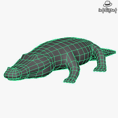 Low Poly Crocodile alligator Low-poly 3D model_4