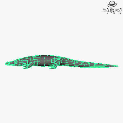 Low Poly Crocodile alligator Low-poly 3D model_5