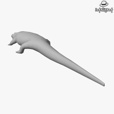 Low Poly Crocodile alligator Low-poly 3D model_2