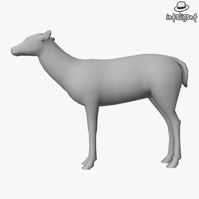 Low Poly Doe deer Low-poly 3D model_1