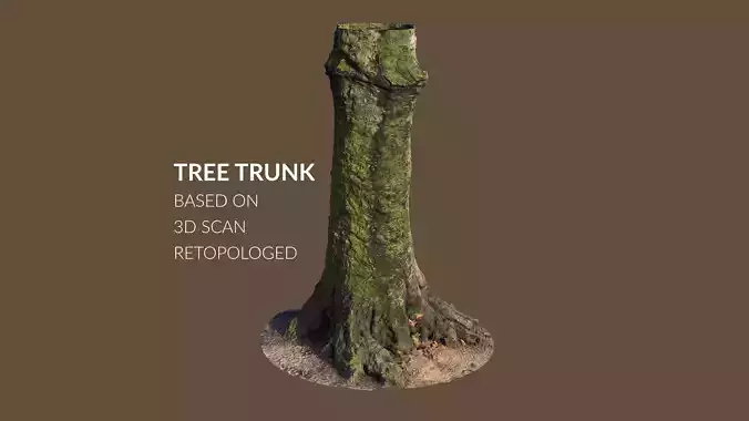 Tree trunk 3d scan retopologed Free 3D model