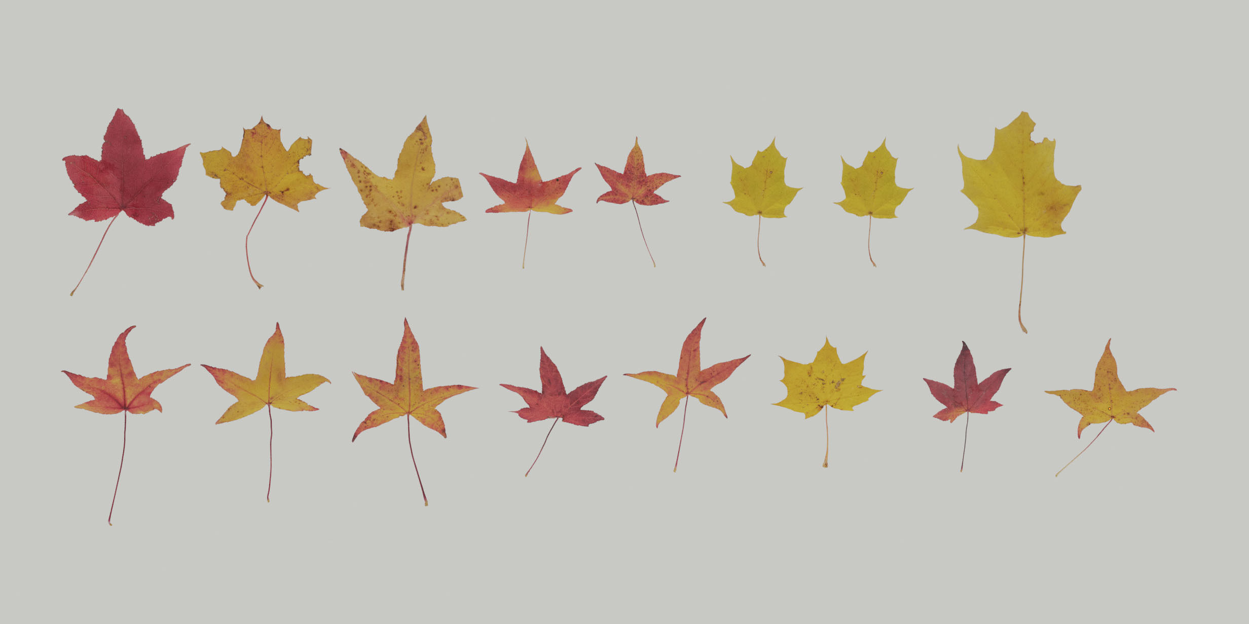 3D Autumn Photoreal Low-poly 3D model_2