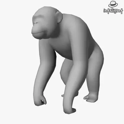Low Poly Chimpanzee gorilla Low-poly 3D model_0