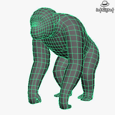 Low Poly Chimpanzee gorilla Low-poly 3D model_3